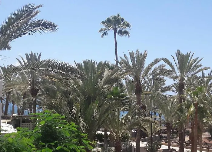 Guayero, Bel Appartement A 50M De La Mer